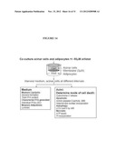 Lipase Inhibitors for the Treatment of Pancreatitis and Organ Failure diagram and image