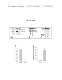 Lipase Inhibitors for the Treatment of Pancreatitis and Organ Failure diagram and image