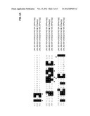 OPTIMIZED STRAINS OF YARROWIA LIPOLYTICA FOR HIGH EICOSAPENTAENOIC ACID     PRODUCTION diagram and image