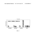 METHOD FOR INDUCING UDP-GLUCURONOSYLTRANSFERASE ACTIVITY USING     PTEROSTILBENE diagram and image