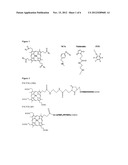 CONJUGATES OF CELL-PENETRATING PEPTIDES AND PHOSPHORESCENT     METALLOPORPHYRINS FOR INTRACELLULAR OXYGEN MEASUREMENT diagram and image