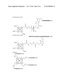 CONJUGATES OF CELL-PENETRATING PEPTIDES AND PHOSPHORESCENT     METALLOPORPHYRINS FOR INTRACELLULAR OXYGEN MEASUREMENT diagram and image