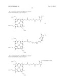 CONJUGATES OF CELL-PENETRATING PEPTIDES AND PHOSPHORESCENT     METALLOPORPHYRINS FOR INTRACELLULAR OXYGEN MEASUREMENT diagram and image