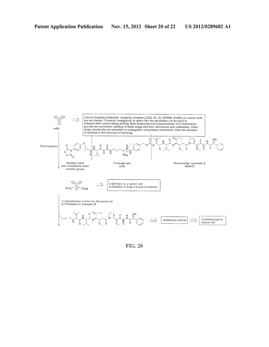 Tyrosine Bioconjugation through Aqueous Ene-Like Reactions - diagram, schematic, and image 21