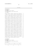 Substantially Stereomerically Pure Fused Bicyclic Proline Compounds and     Processes for Preparing Boceprevir diagram and image