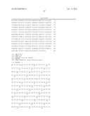 Substantially Stereomerically Pure Fused Bicyclic Proline Compounds and     Processes for Preparing Boceprevir diagram and image