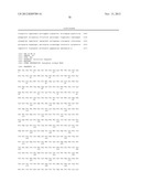 Substantially Stereomerically Pure Fused Bicyclic Proline Compounds and     Processes for Preparing Boceprevir diagram and image