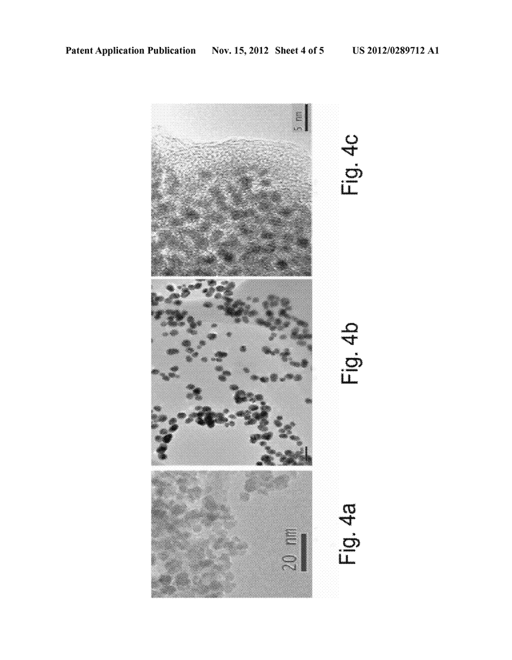 PHOSPHATE-CONTAINING NANOPARTICLE DELIVERY VEHICLE - diagram, schematic, and image 05