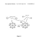 PURIFICATION OF SUCCINIC ACID FROM THE FERMENTATION BROTH CONTAINING     AMMONIUM SUCCINATE diagram and image