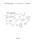 Gold Nanocatalysts and Methods of Use Thereof diagram and image