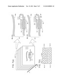 ULTRASOUND DIAGNOSTIC APPARATUS AND METHOD FOR TRACING MOVEMENT OF TISSUE diagram and image