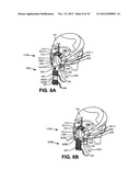 CARBON-DIOXIDE SAMPLING DEVICE FOR NONINVASIVELY MEASURING CARBON DIOXIDE     IN EXHALED BREATH diagram and image