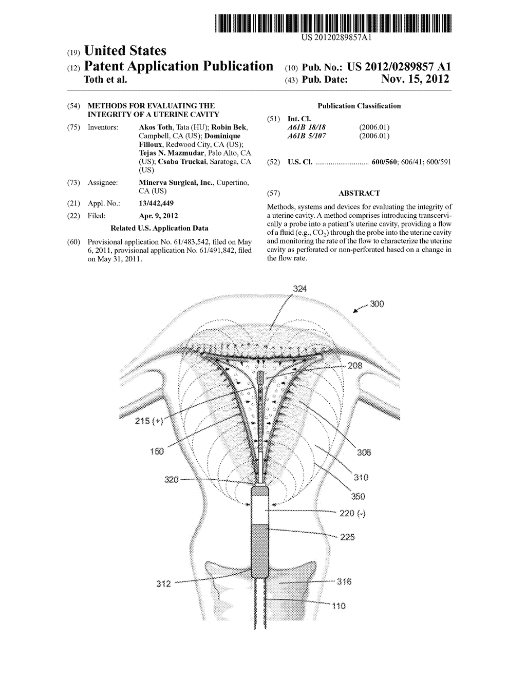 METHODS FOR EVALUATING THE INTEGRITY OF A UTERINE CAVITY - diagram, schematic, and image 01