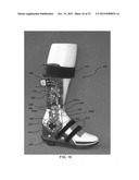 PORTABLE ACTIVE PNEUMATICALLY POWERED ANKLE-FOOT ORTHOSIS diagram and image