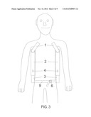 Spinal Posture Brace diagram and image