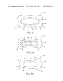 Body Adhering Absorbent Article diagram and image