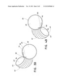 STEERABLE ILIAC BRANCH DEVICE diagram and image