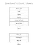 DOMAIN NAME SYSTEM, INFORMATION PROCESSING METHOD AND APPARATUS OF DOMAIN     NAME SYSTEM diagram and image