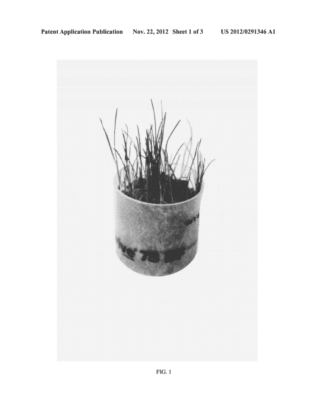 PLANTING MIX COMPOSITIONS AND METHODS - diagram, schematic, and image 02