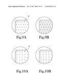 Orthopedic Pet Bed diagram and image