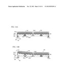 CAPILLARY ELECTROPHORESIS APPARATUS diagram and image