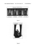 Procedure and Device For The Micro-Mixing Of Fluids Through Reflux Cell diagram and image