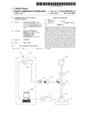 STROBOSCOPIC OPTICAL IMAGE MAPPING SYSTEM diagram and image