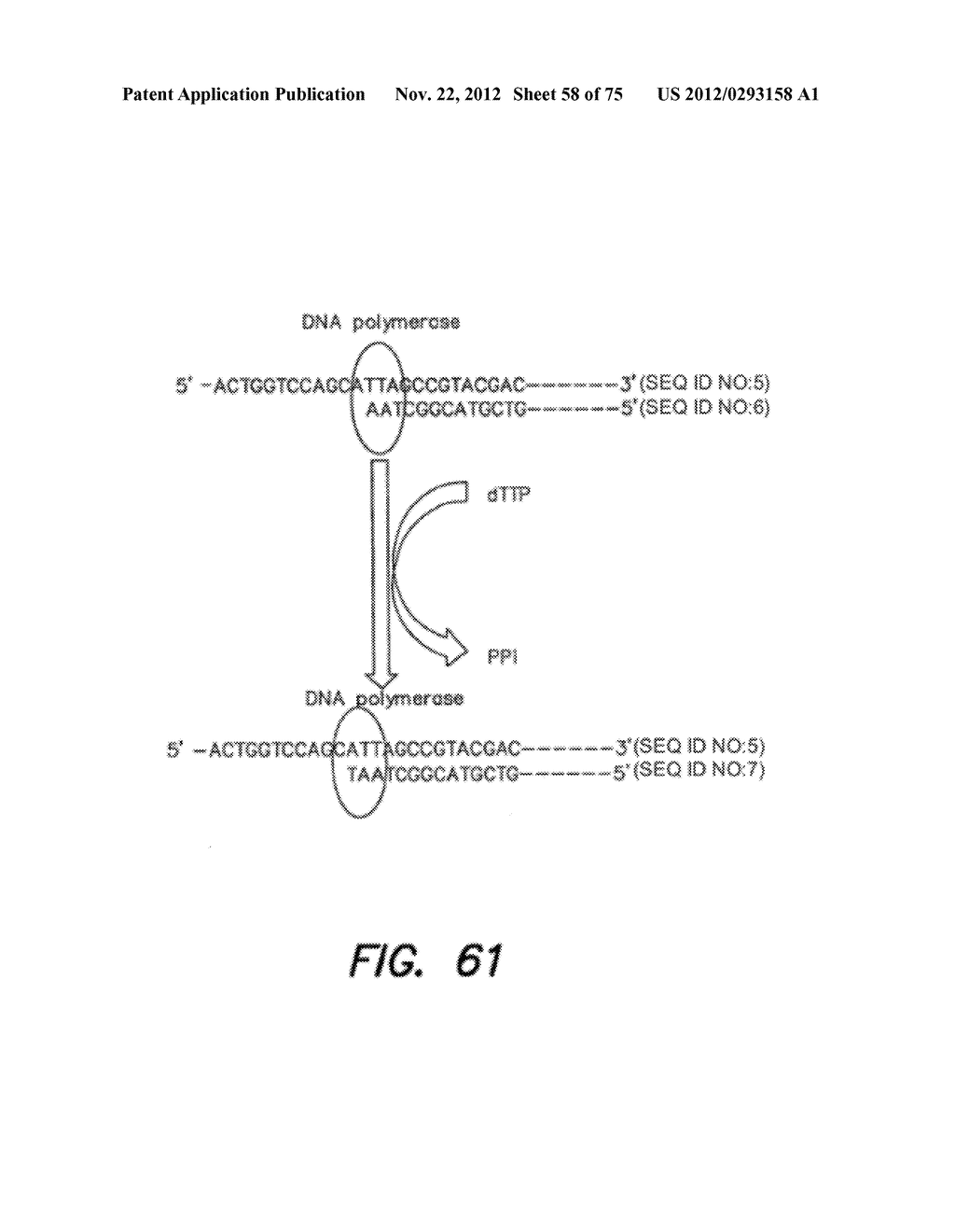 METHODS AND APPARATUS FOR HIGH-SPEED OPERATION OF A CHEMICALLY-SENSITIVE     SENSOR ARRAY - diagram, schematic, and image 59