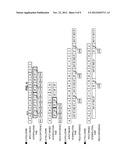 IMAGE PROCESSING APPARATUS, METHOD, AND PROGRAM diagram and image