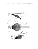 ILLUMINATION DEVICE diagram and image