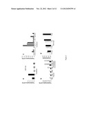 ANTI-TEM1 ANTIBODIES AND USES THEREOF diagram and image