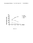 TARGETING TUMOR CELLS WITH CHEMOTHERAPEUTIC AGENTS CONJUGATED TO     MATRIPTASE ANTIBODIES diagram and image