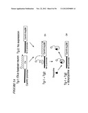 DNA regulatory element for the expression of transgenes in neurons of a     subject and uses thereof diagram and image