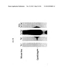 DNA regulatory element for the expression of transgenes in neurons of a     subject and uses thereof diagram and image