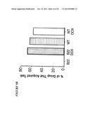 DNA regulatory element for the expression of transgenes in neurons of a     subject and uses thereof diagram and image