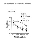 DNA regulatory element for the expression of transgenes in neurons of a     subject and uses thereof diagram and image