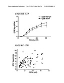 DNA regulatory element for the expression of transgenes in neurons of a     subject and uses thereof diagram and image