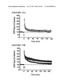 DNA regulatory element for the expression of transgenes in neurons of a     subject and uses thereof diagram and image