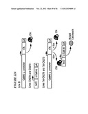 DNA regulatory element for the expression of transgenes in neurons of a     subject and uses thereof diagram and image