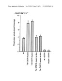 DNA regulatory element for the expression of transgenes in neurons of a     subject and uses thereof diagram and image