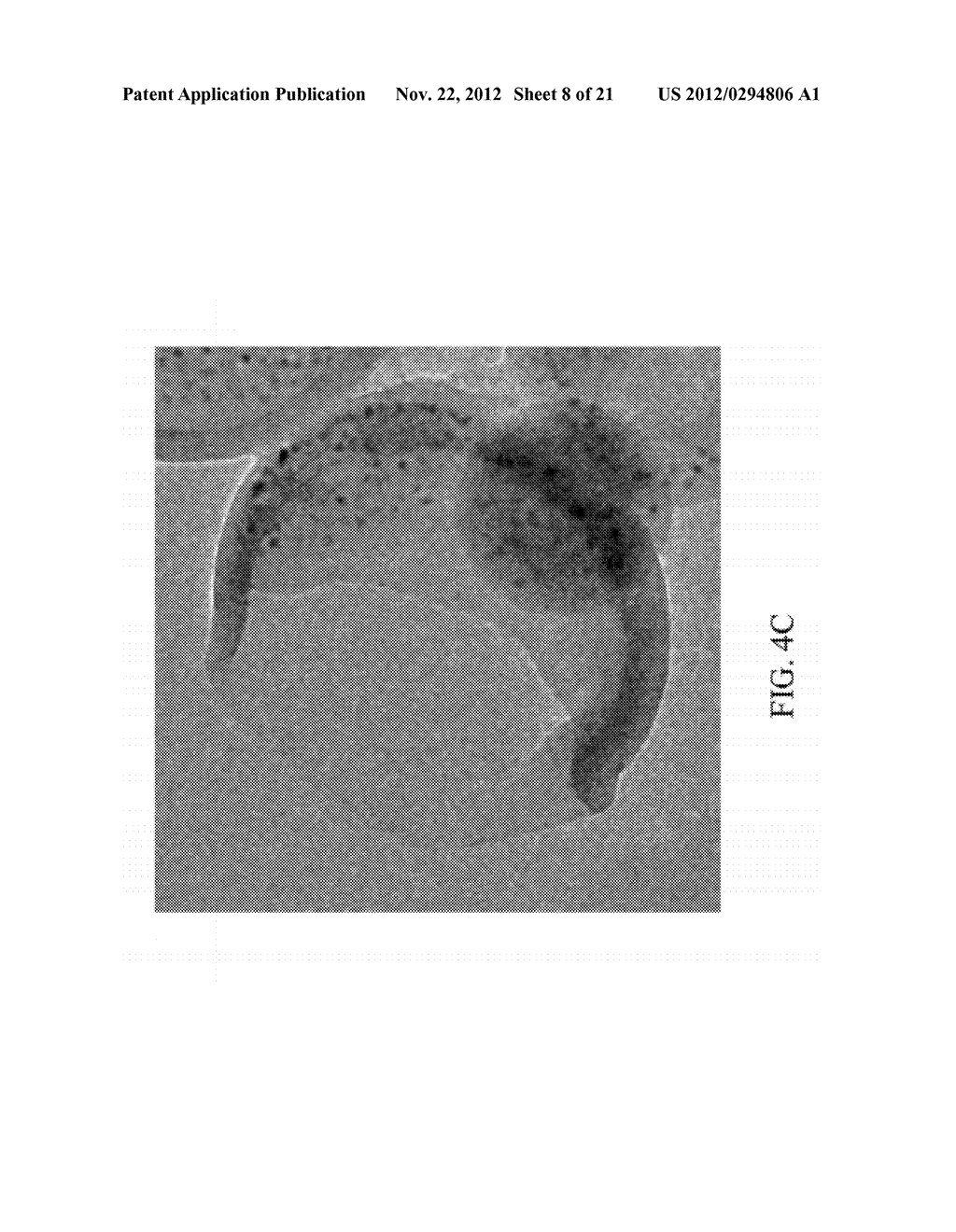 DRUG CARRIER WITH THERMAL SENSITIVITY, MANUFACTURING METHOD THEREOF, AND     USE THEREOF - diagram, schematic, and image 09