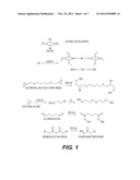 LANTHANOID COMPLEX CAPSULE AND PARTICLE CONTRAST AGENTS, METHODS OF MAKING     AND USING THEREOF diagram and image