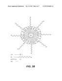 LANTHANOID COMPLEX CAPSULE AND PARTICLE CONTRAST AGENTS, METHODS OF MAKING     AND USING THEREOF diagram and image