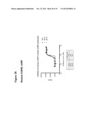 USE OF ANTI-CGRP ANTIBODIES AND ANTIBODY FRAGMENTS TO TREAT DIARRHEA IN     SUBJECTS WITH DISEASES OR TREATMENTS THAT RESULT IN ELEVATED CGRP LEVELS diagram and image