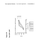 USE OF ANTI-CGRP ANTIBODIES AND ANTIBODY FRAGMENTS TO TREAT DIARRHEA IN     SUBJECTS WITH DISEASES OR TREATMENTS THAT RESULT IN ELEVATED CGRP LEVELS diagram and image