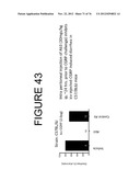 USE OF ANTI-CGRP ANTIBODIES AND ANTIBODY FRAGMENTS TO TREAT DIARRHEA IN     SUBJECTS WITH DISEASES OR TREATMENTS THAT RESULT IN ELEVATED CGRP LEVELS diagram and image