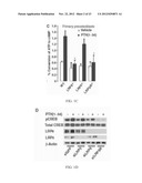 MODULATION OF GPCR-MEDIATED CAMP PRODUCTION THROUGH LRP6 AND ITS     THERAPEUTIC APPLICATION diagram and image