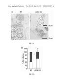 MODULATION OF GPCR-MEDIATED CAMP PRODUCTION THROUGH LRP6 AND ITS     THERAPEUTIC APPLICATION diagram and image