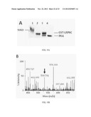 MODULATION OF GPCR-MEDIATED CAMP PRODUCTION THROUGH LRP6 AND ITS     THERAPEUTIC APPLICATION diagram and image