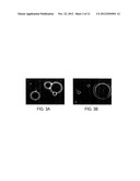 NOVEL COCHLEATE FORMULATIONS diagram and image